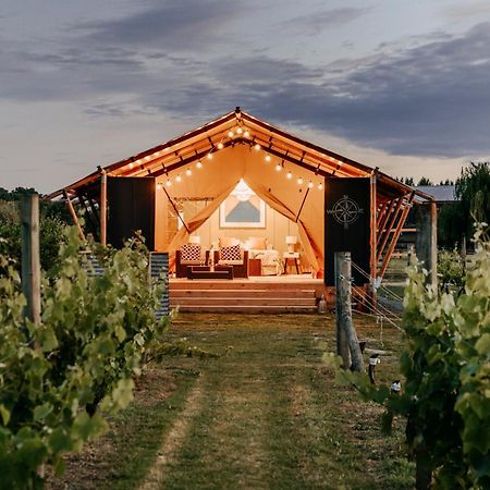Villas & Vines Glamping هاستينغز المظهر الخارجي الصورة
