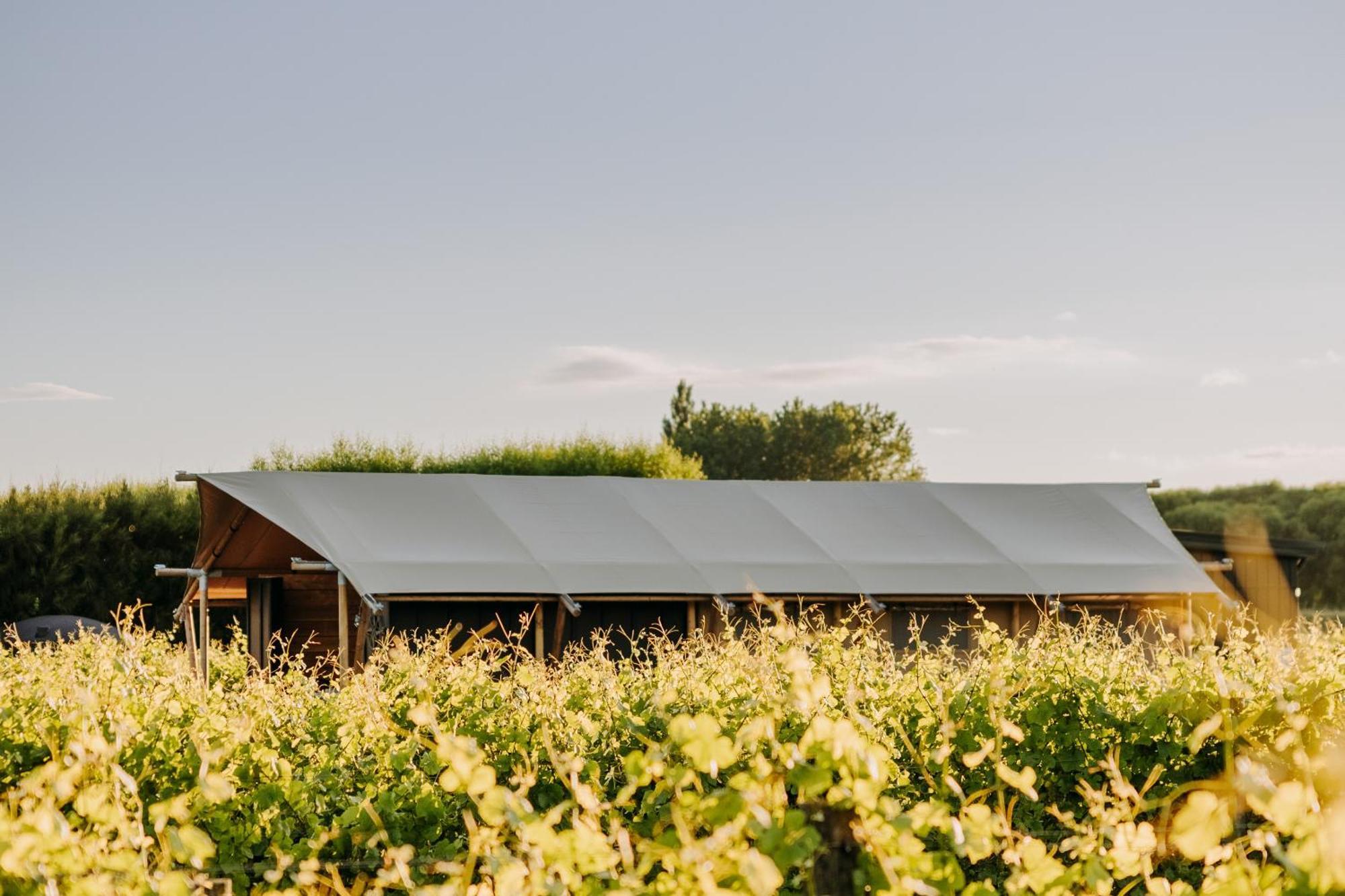 Villas & Vines Glamping هاستينغز المظهر الخارجي الصورة
