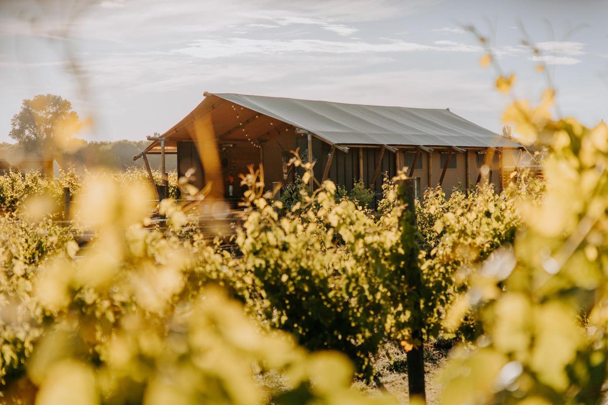 Villas & Vines Glamping هاستينغز المظهر الخارجي الصورة