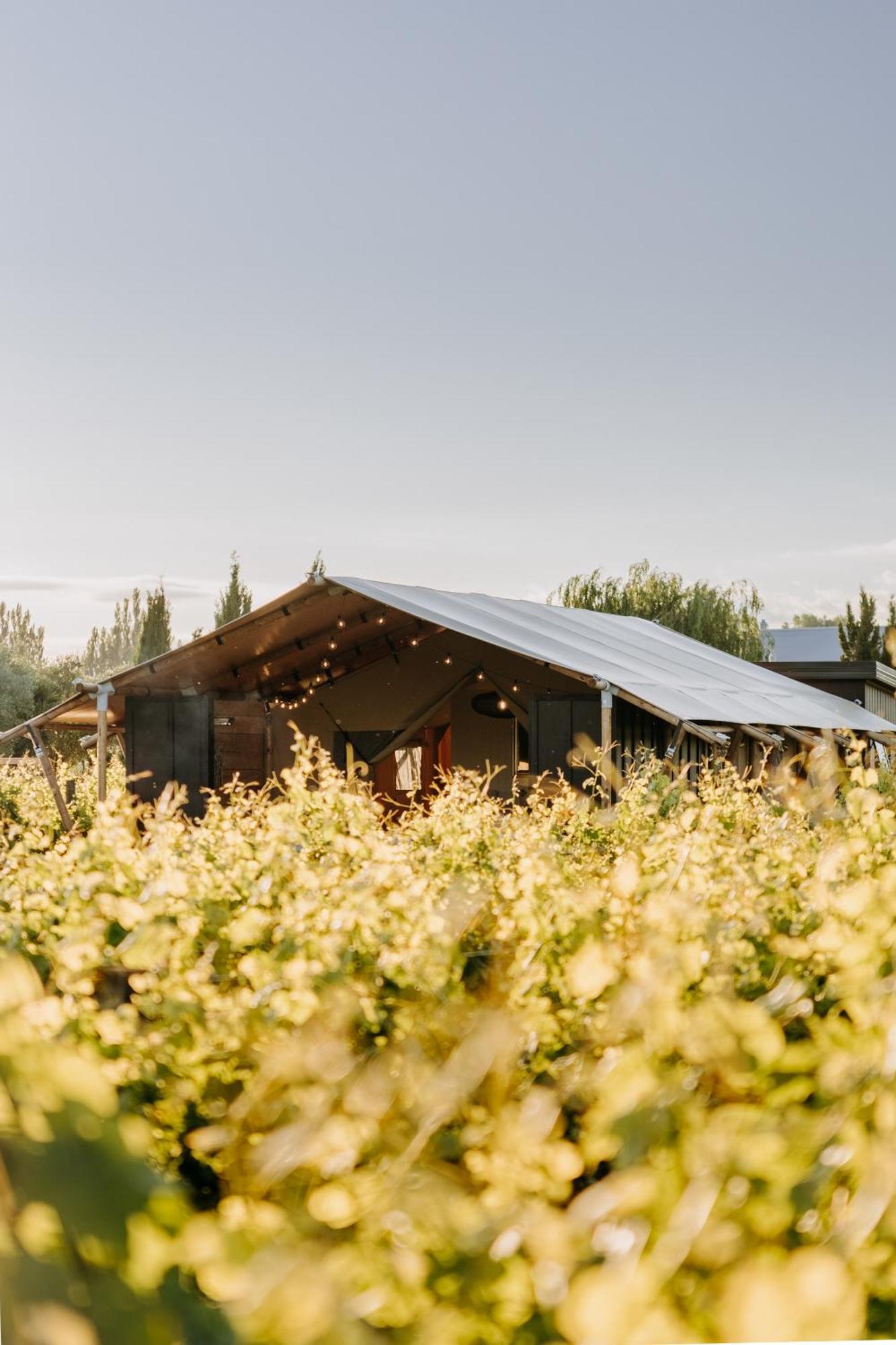 Villas & Vines Glamping هاستينغز المظهر الخارجي الصورة
