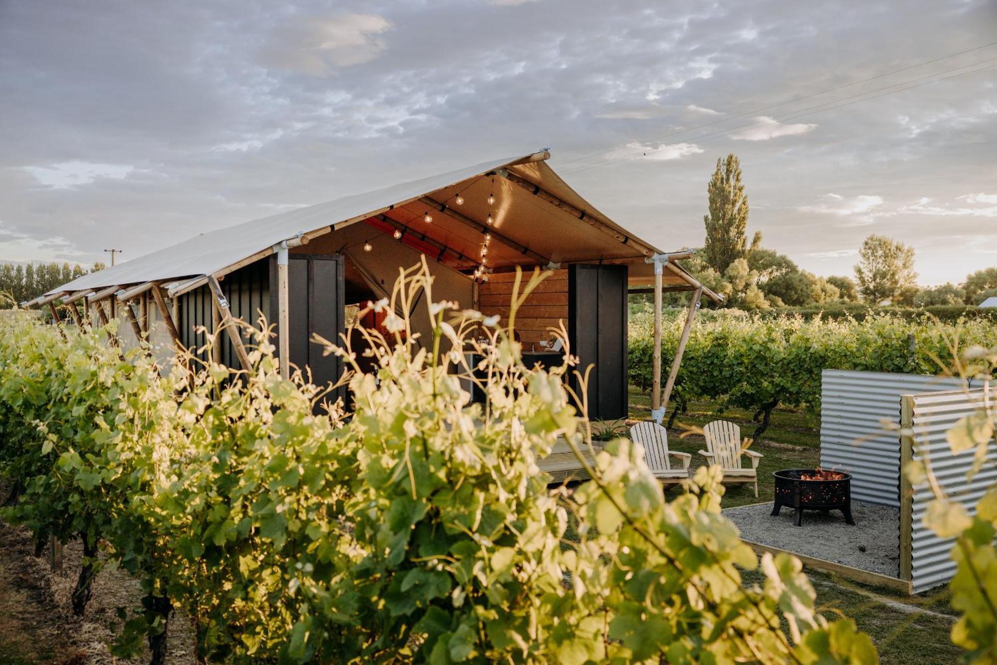 Villas & Vines Glamping هاستينغز المظهر الخارجي الصورة